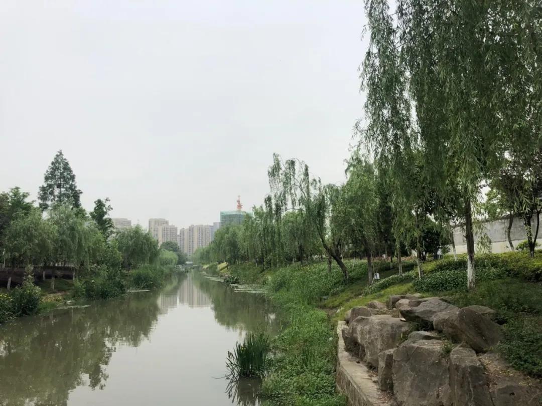 所见即所得，很快就能住！探营杭州四大现房，值得买吗？