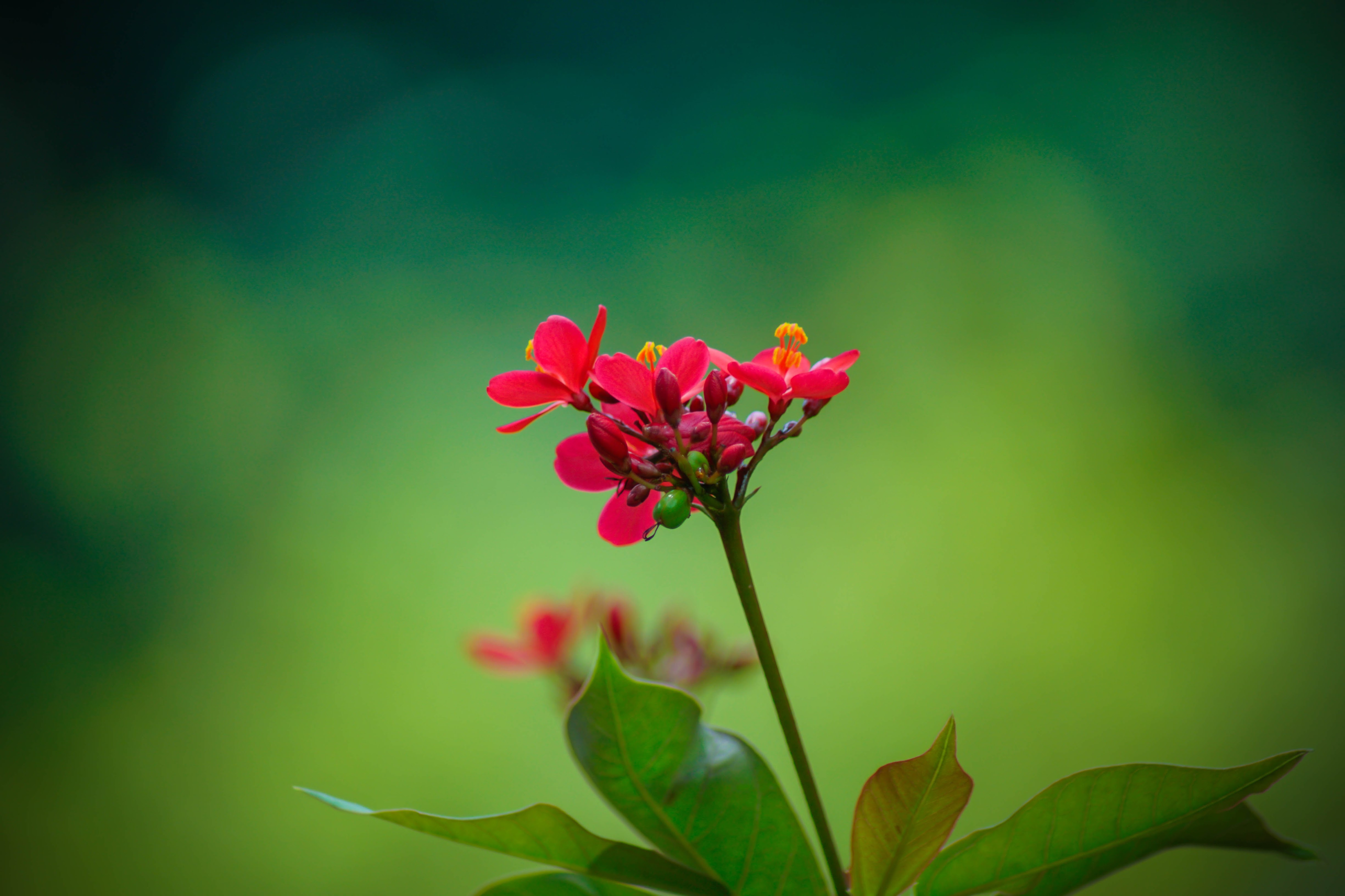 当你发觉你爱的人变了心怎么办,如果有一天你爱的人让你失望了