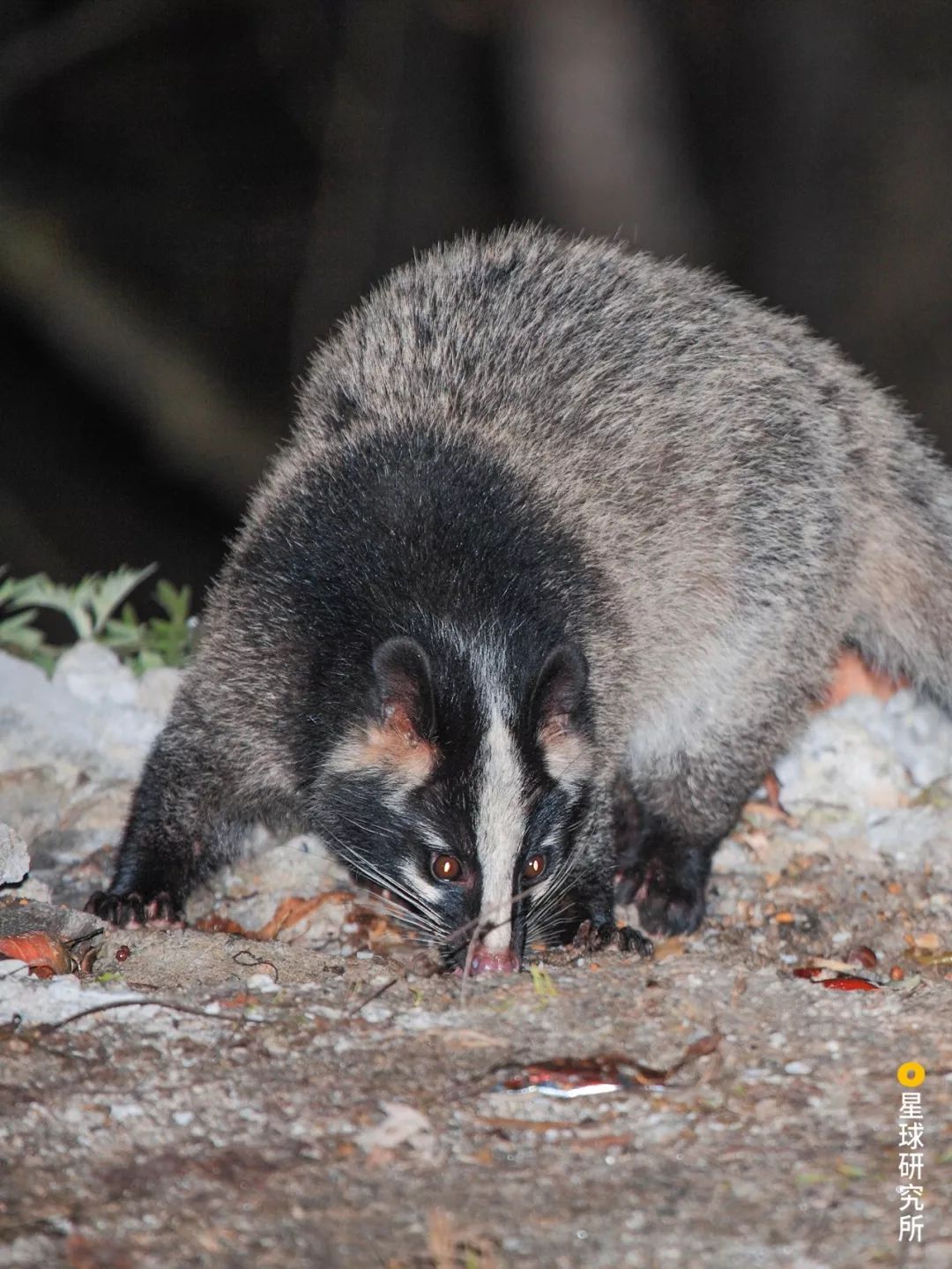 人体防卫战,人体痛点攻击技巧