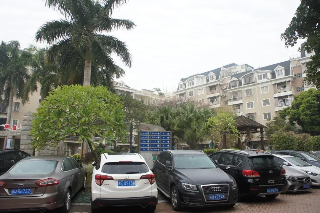 殿前街道兴隆社区大唐八期“三个到位”打造“阳光小区”被人民网转载报道