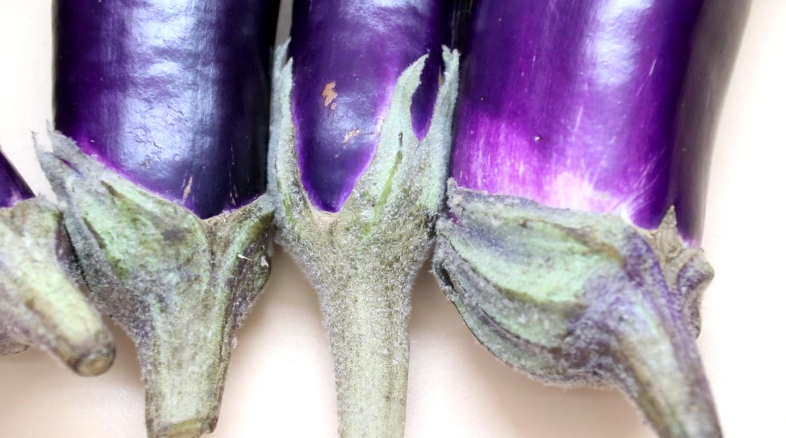 茄子买什么样的最好,买茄子紫色的还是黑色的好