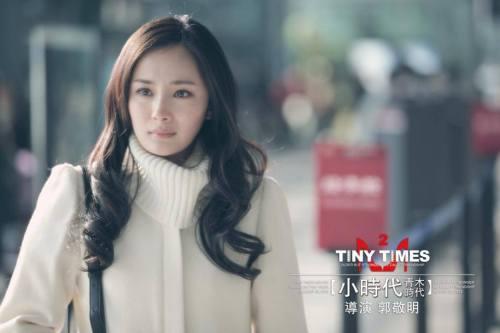 杨幂经历过的辛酸史,杨幂经历过口碑两极反转吗