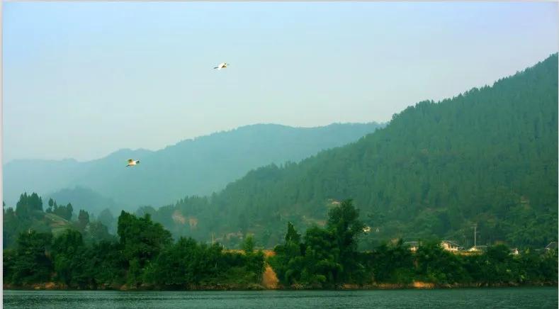 东林，桨声舟影里那一片世外桃源