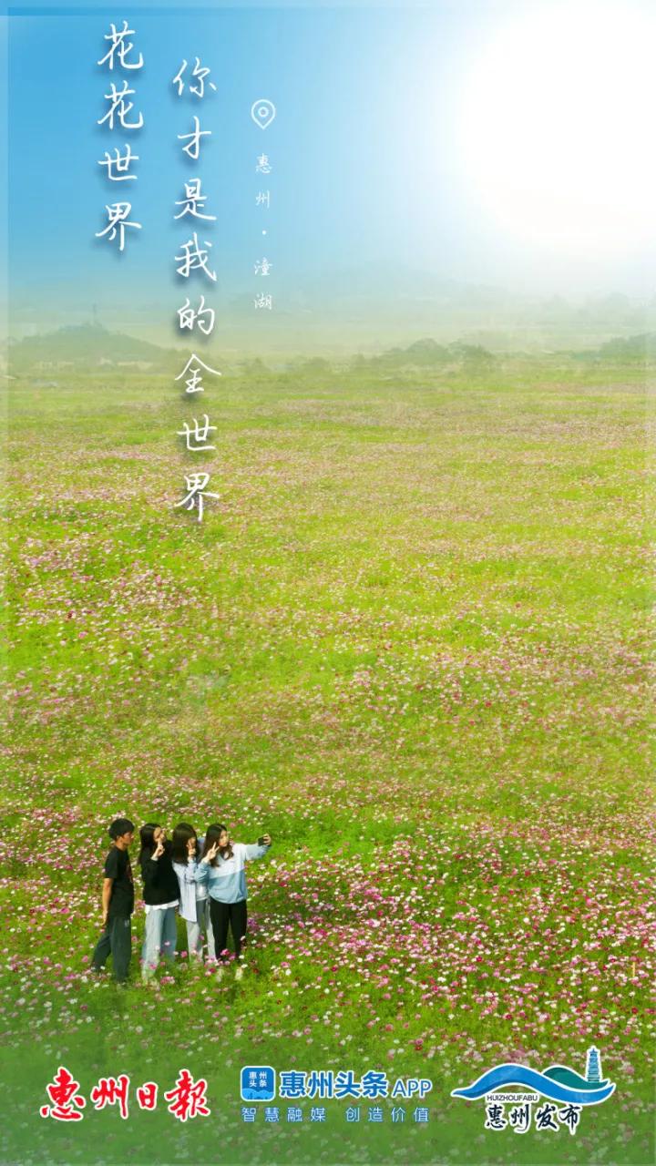 专属广东人的浪漫情话,专属撩人情话