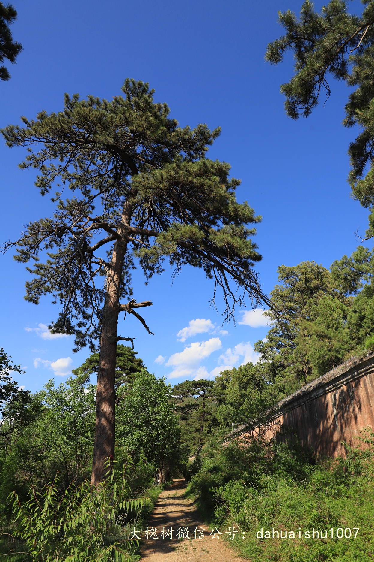 嘉靖陵墓永陵和永乐大典,明朝十三陵之永陵