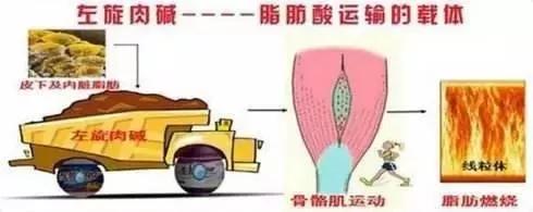 十大美容单品排行榜,这几年流行的养生美容爆品