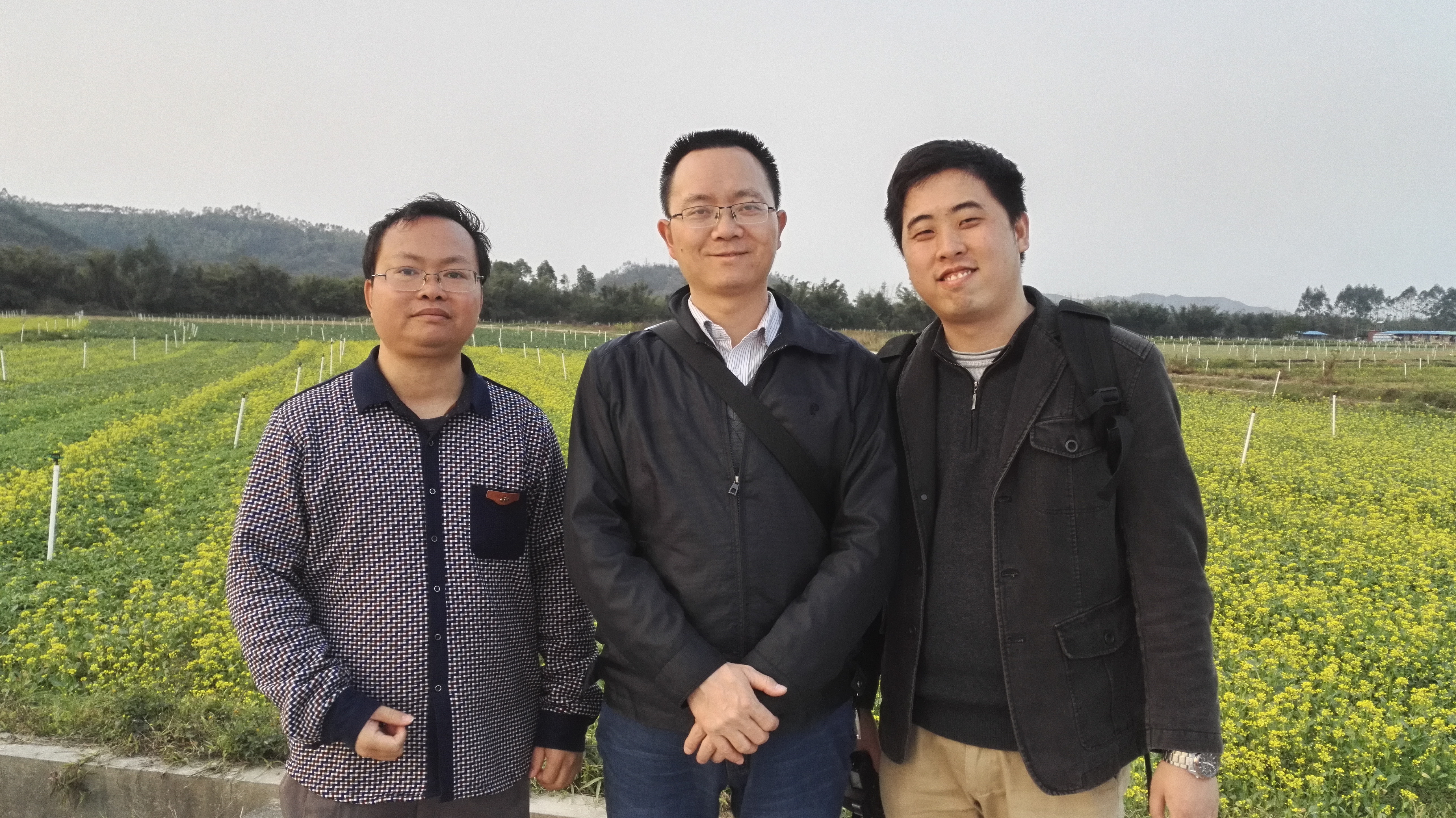 最近抓的网络诈骗案审判结果,最新网络诈骗罪判决书