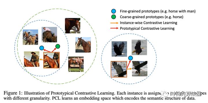 万物皆ContrastiveLearning，从ICLR和NIPS上解读最新研究进展