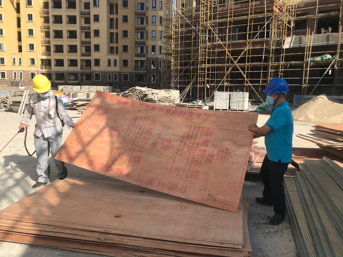 珠海市白蚁灭治服务,珠海市白蚁消杀技术