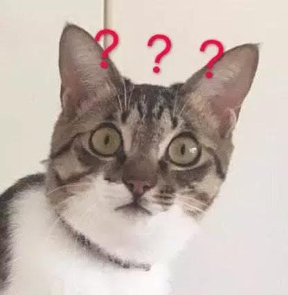 那些年我们笑的撕心裂肺,那些年我们开怀大笑