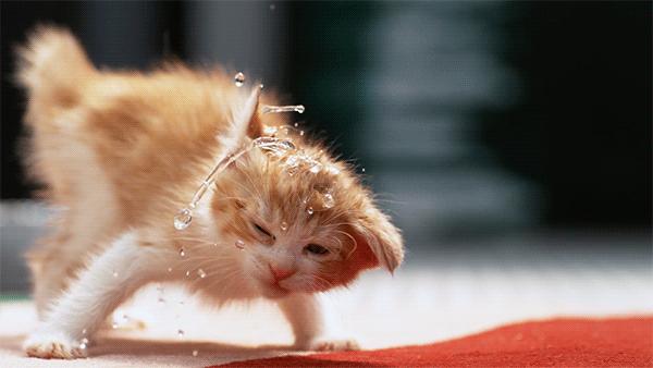 华为mate20pro拍摄有慢动作吗,华为mate20pro慢动作拍摄教程