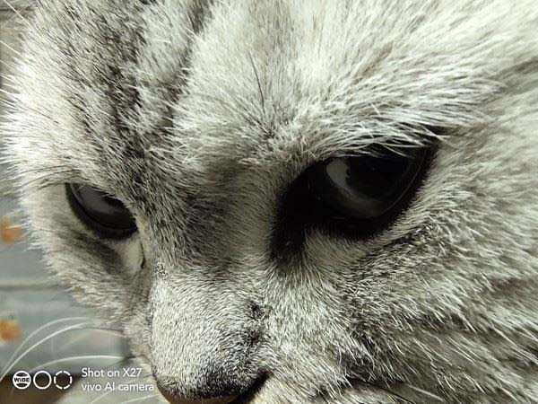 vivox27手机怎么样好用吗,vivox27和vivox60哪个好