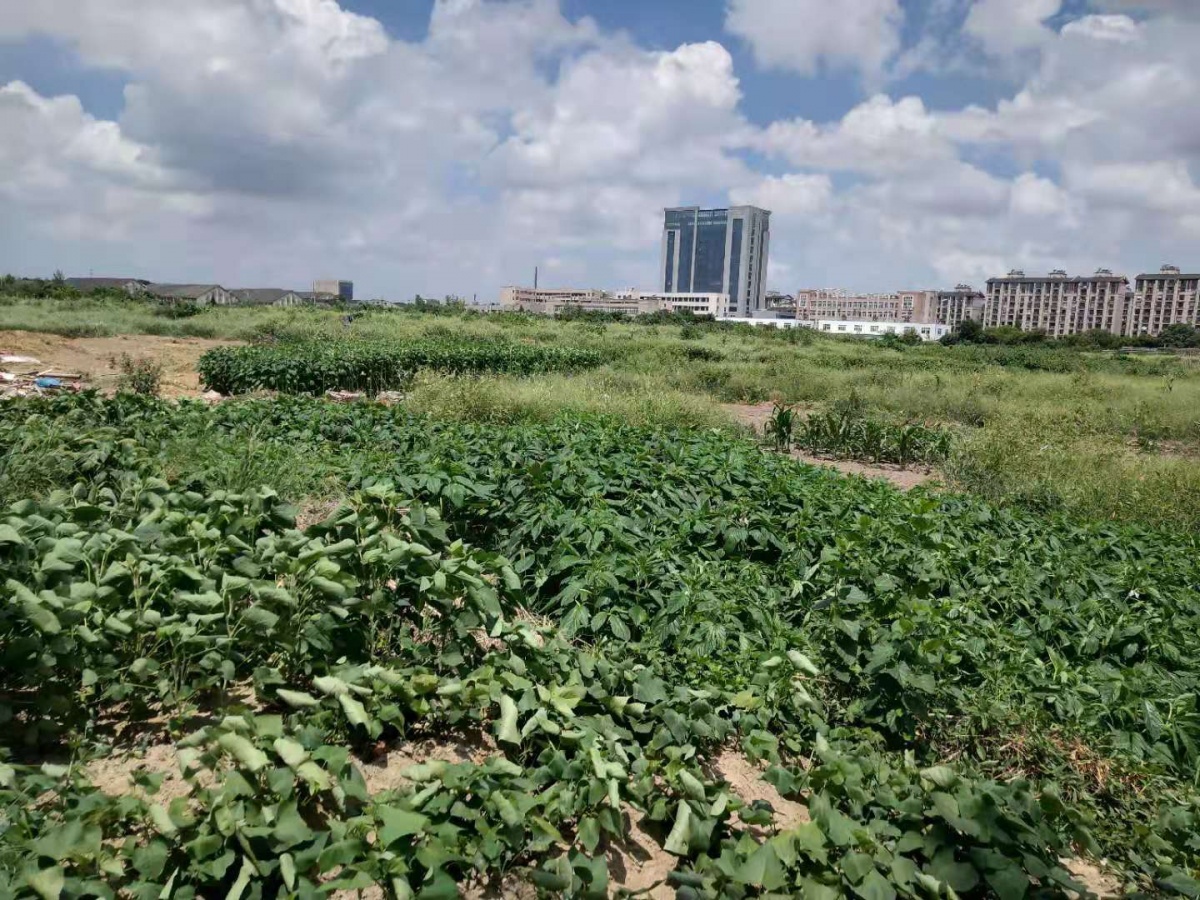 猝不及防突然出手,扬州江扬电缆厂