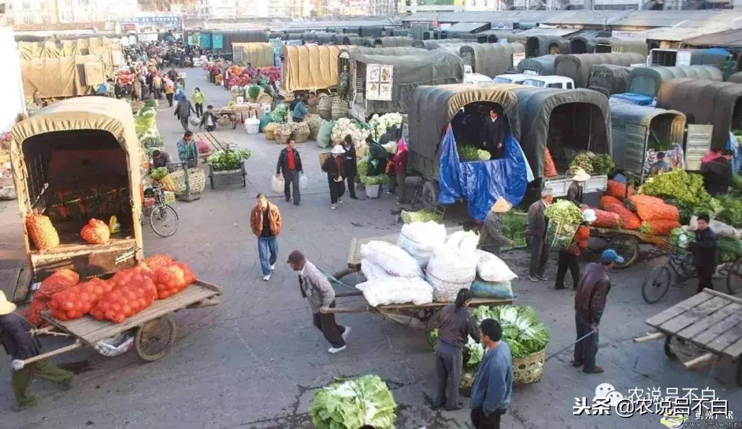 农批市场的现状与发展趋势,农批市场的梦想与理念
