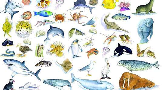 为什么地球上大部分生物都是有性繁殖的，无性繁殖为什么很少？