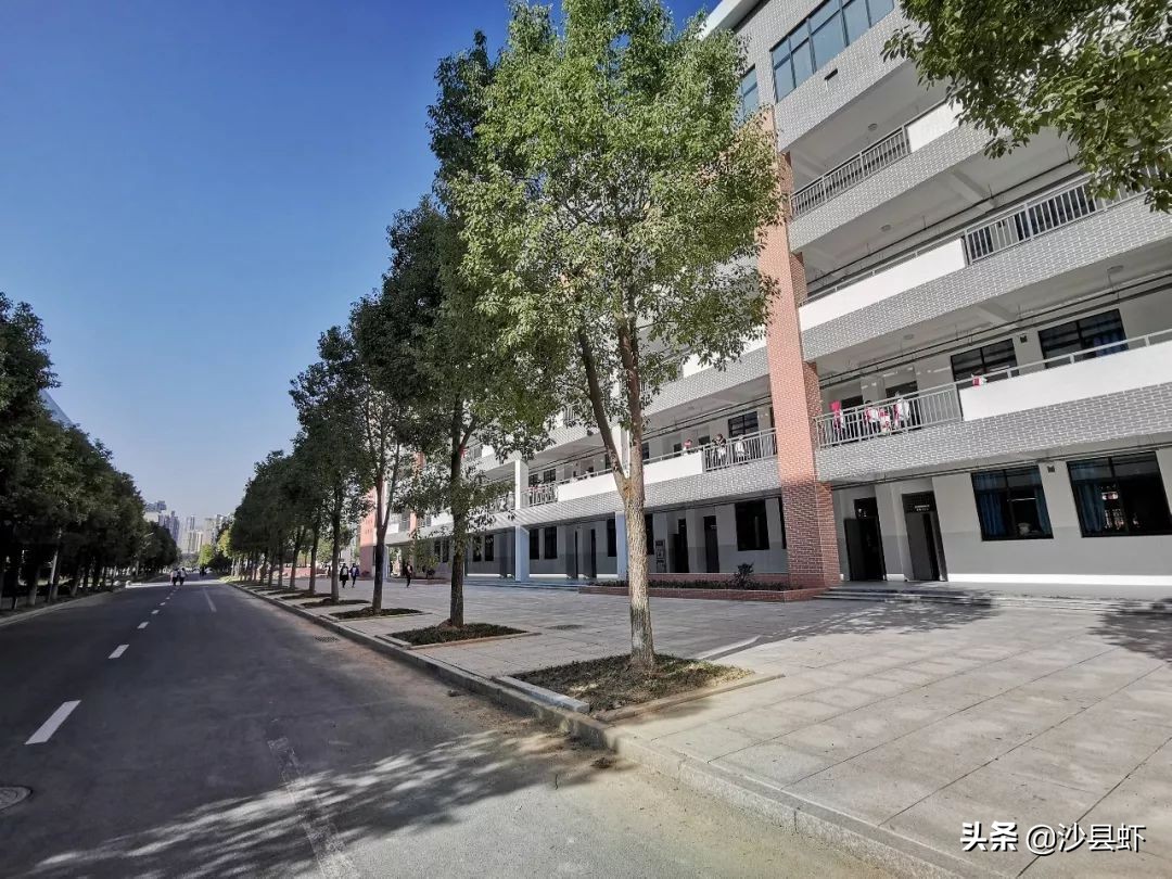 有序推进！沙县虾关心的32项为民办实事项目有了新进展