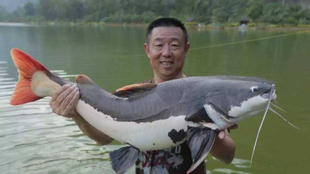 钓鱼野钓最厉害的人是哪个,被评为中国钓鱼十大高手