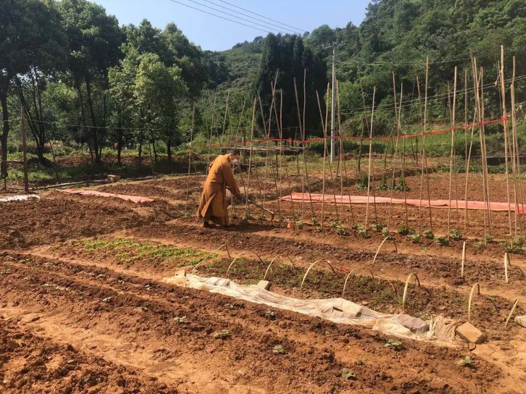 抢抓农时开展农业生产,农民纷纷抢抓春耕生产有利时机