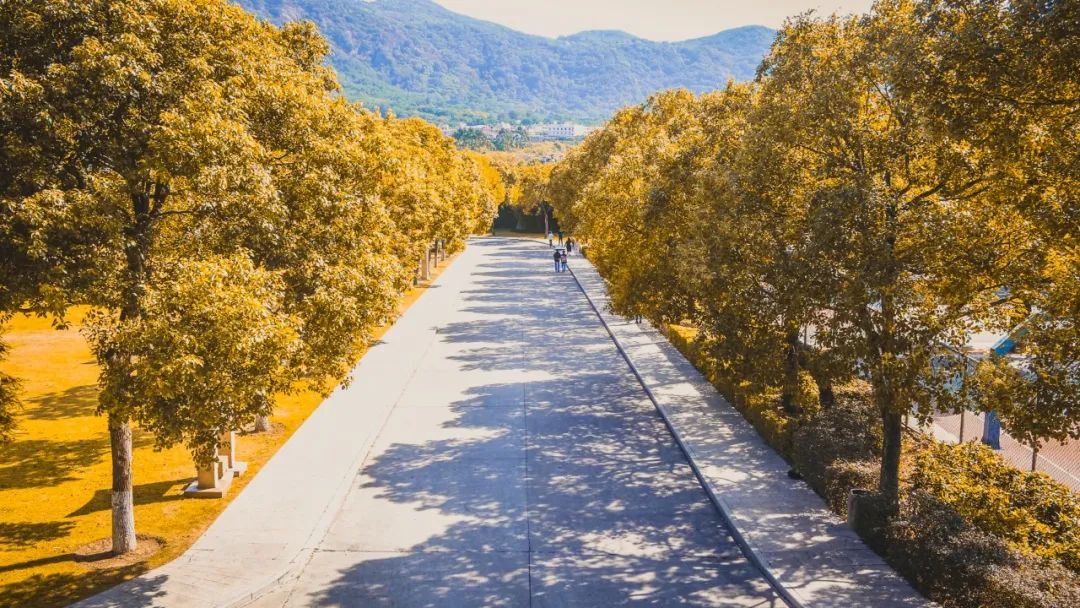 看,这是属于泉信的秋韵