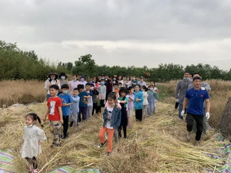 劳动课教学新思路新方法,如何设计一堂有特色的劳动课
