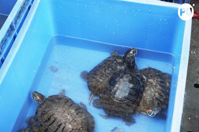 有一种钱买不到的回忆，叫做老广州