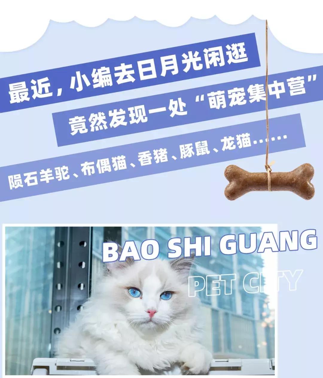 39.9元羊驼,羊驼门票抖音团购