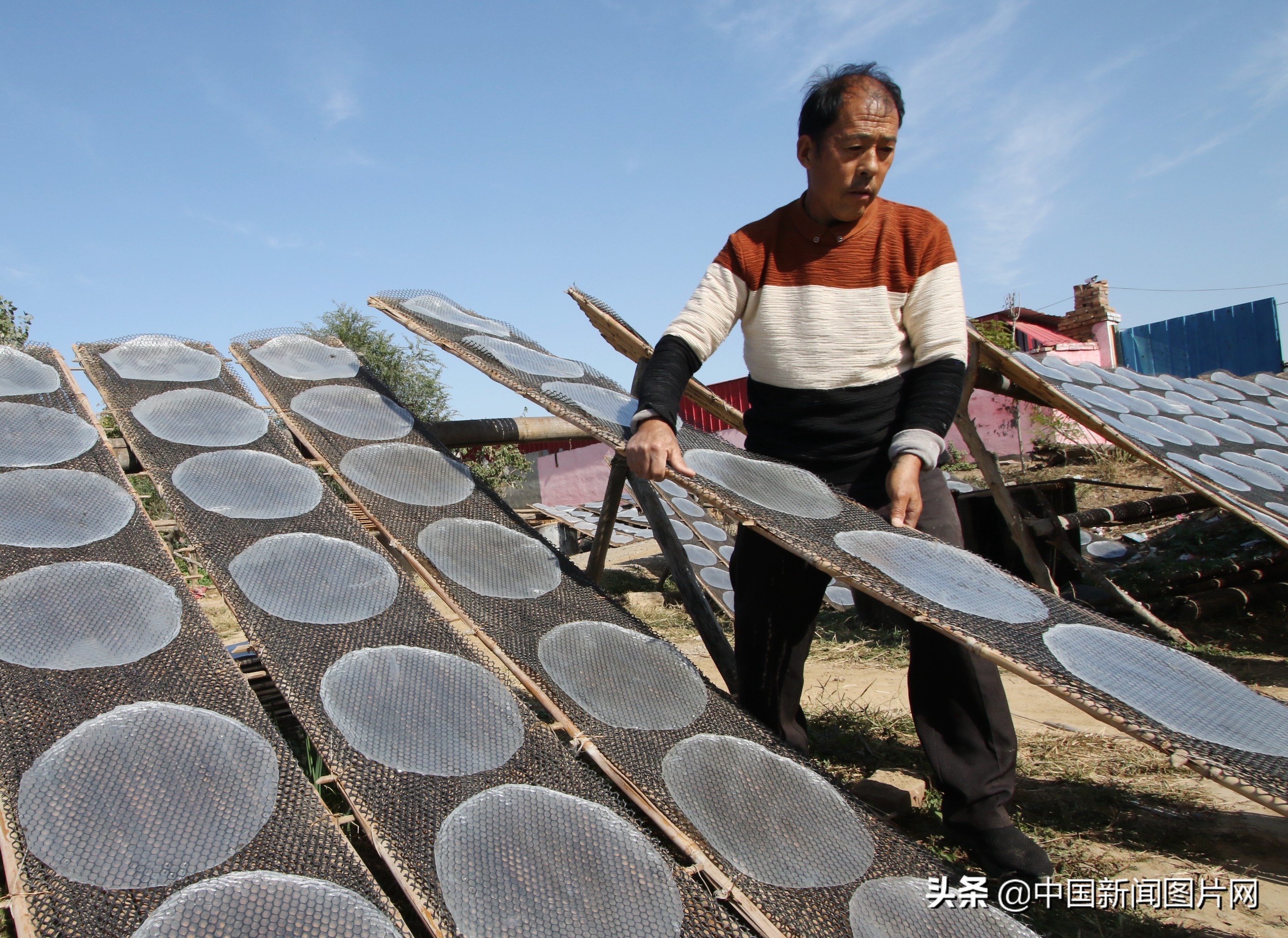 黄县手工粉皮现做现卖,粉皮加工厂致富项目