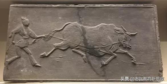 涨知识是什么原因,你知道牛为什么叫做牛吗