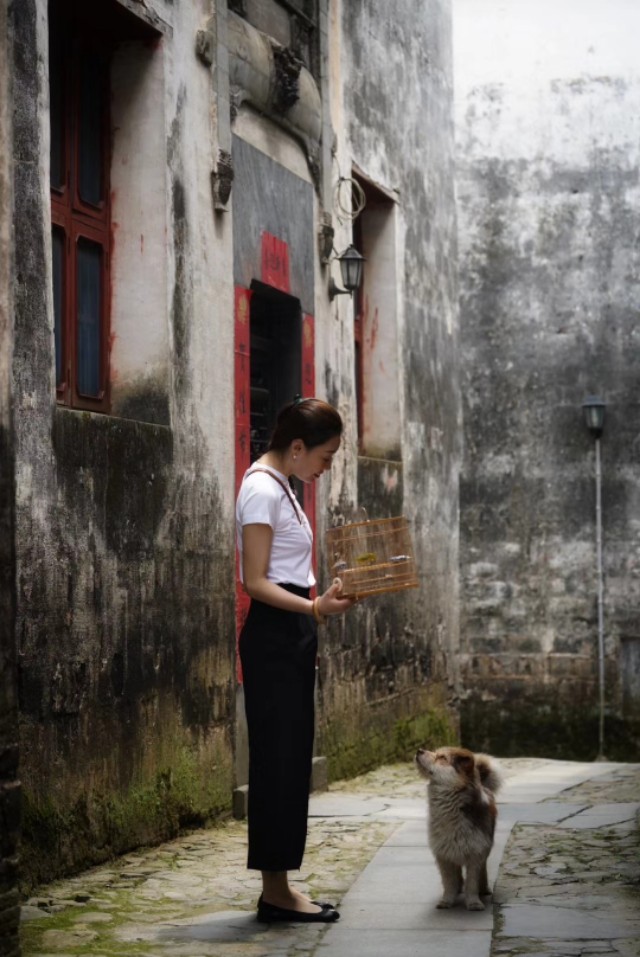 一个闲字一个鸟字读什么,一个闲一个木字念什么