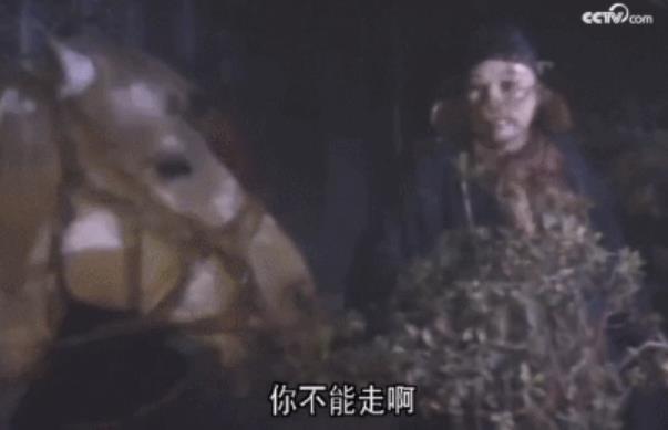 西游记里的白龙马最后惨死马棚,拍摄完西游记的白龙马有多惨