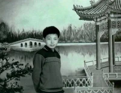 撒贝宁视频被央视评论,撒贝宁张绍刚最新消息