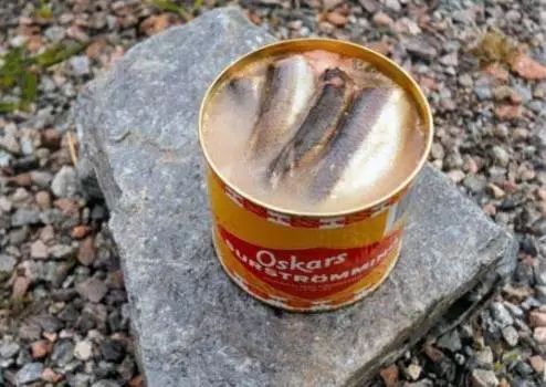 有什么东西是不能带上飞机的吗,有什么东西是不能带上飞机的