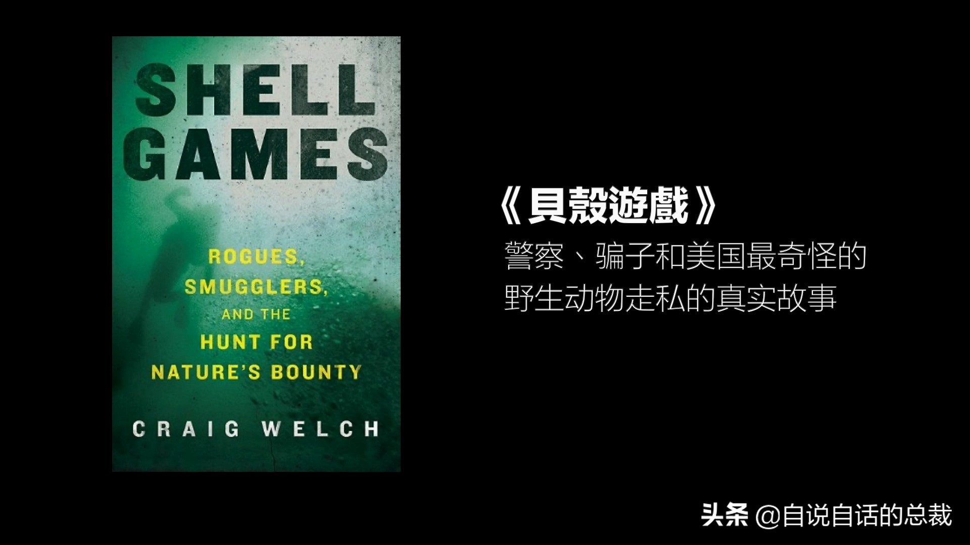 蚶蛤蛏蚬区别,蛤蜊蚶子蛏子区别