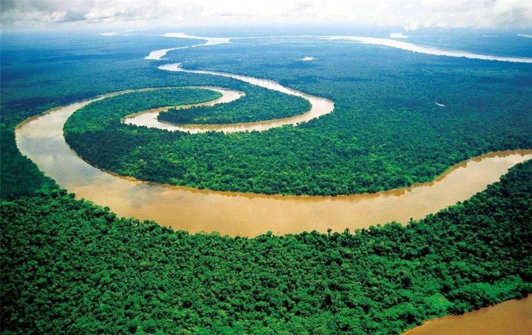 被蟒蛇给吞掉是什么感觉,如果被蛇突然吞下会发生什么