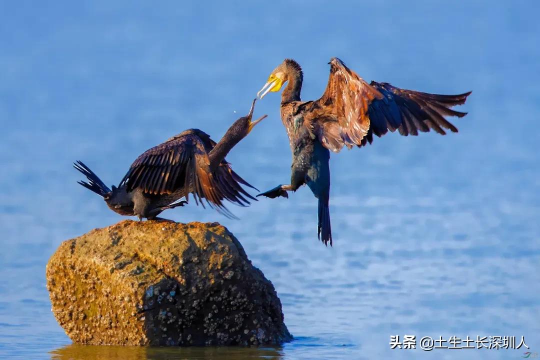 冷门地名生僻字,地名生僻字