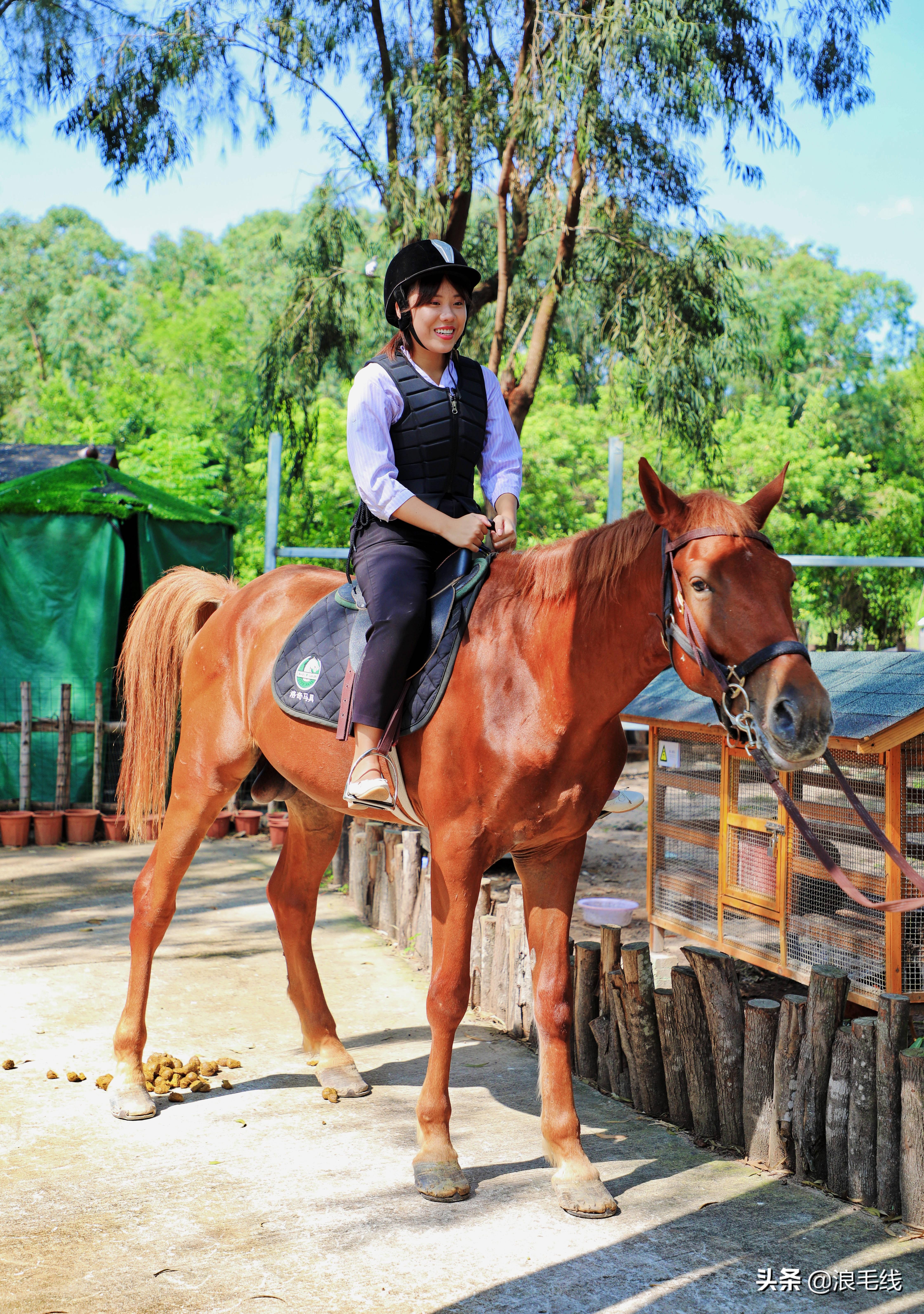 三亚海棠湾自由行热门攻略,那年夏天那片海简介