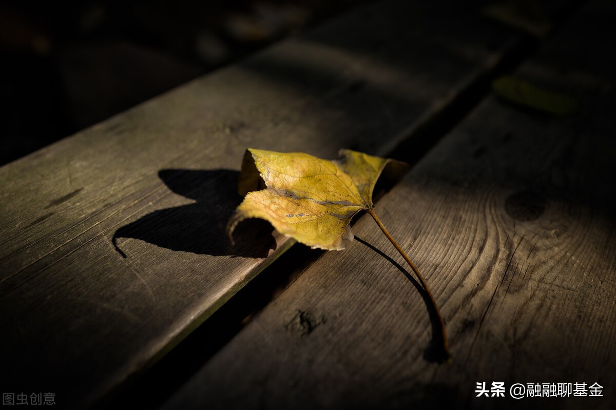 市场情绪指标在哪里看,哪个软件有市场情绪指标