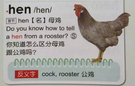 GrowingUp英汉彩图辞典3000字——能点读纠正发音的神器（下）