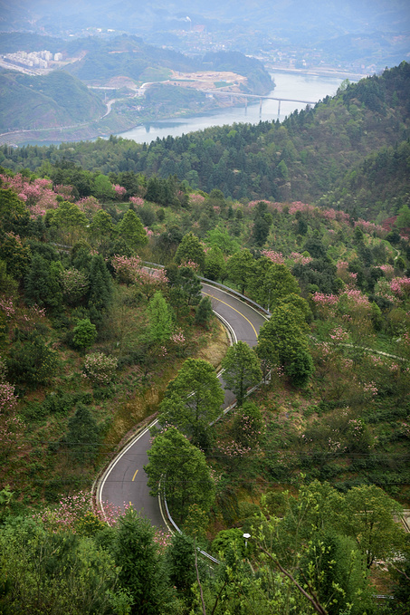疫情对湖南这里居然丝毫没有影响！0病发，还超级适合徒步旅行！