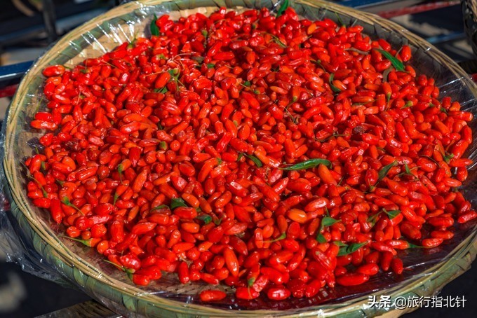 美丽青海，秋收的季节都兰红了，爆汁鲜甜的枸杞有小拇指大小