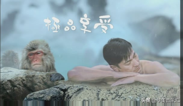 美丽的一天刘德华专辑,刘德华经典怀旧歌曲100首免费听