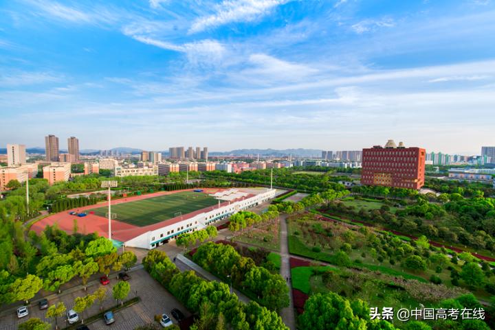 浙江大学和浙江大学医学院哪个好,浙江大学和杭州大学哪个好