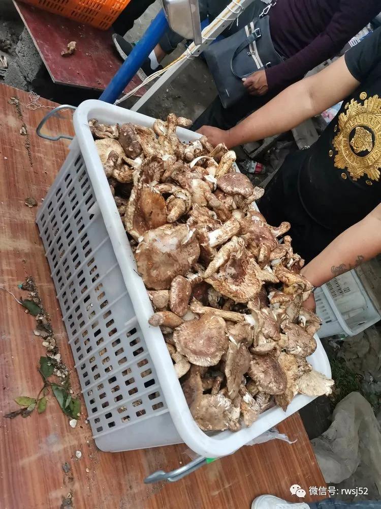 骑闯天路完赛名单,骑闯天路赛程