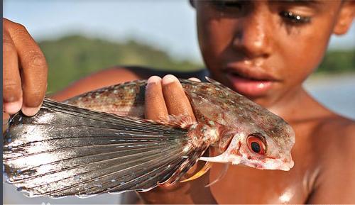 山海经中哪些是人类发现的,山海经中哪些真实存在的生物