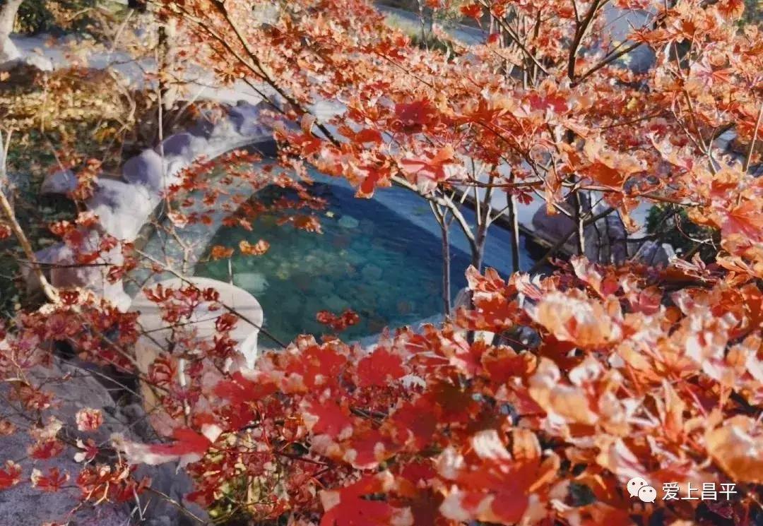 立冬泡汤温泉,立冬啦