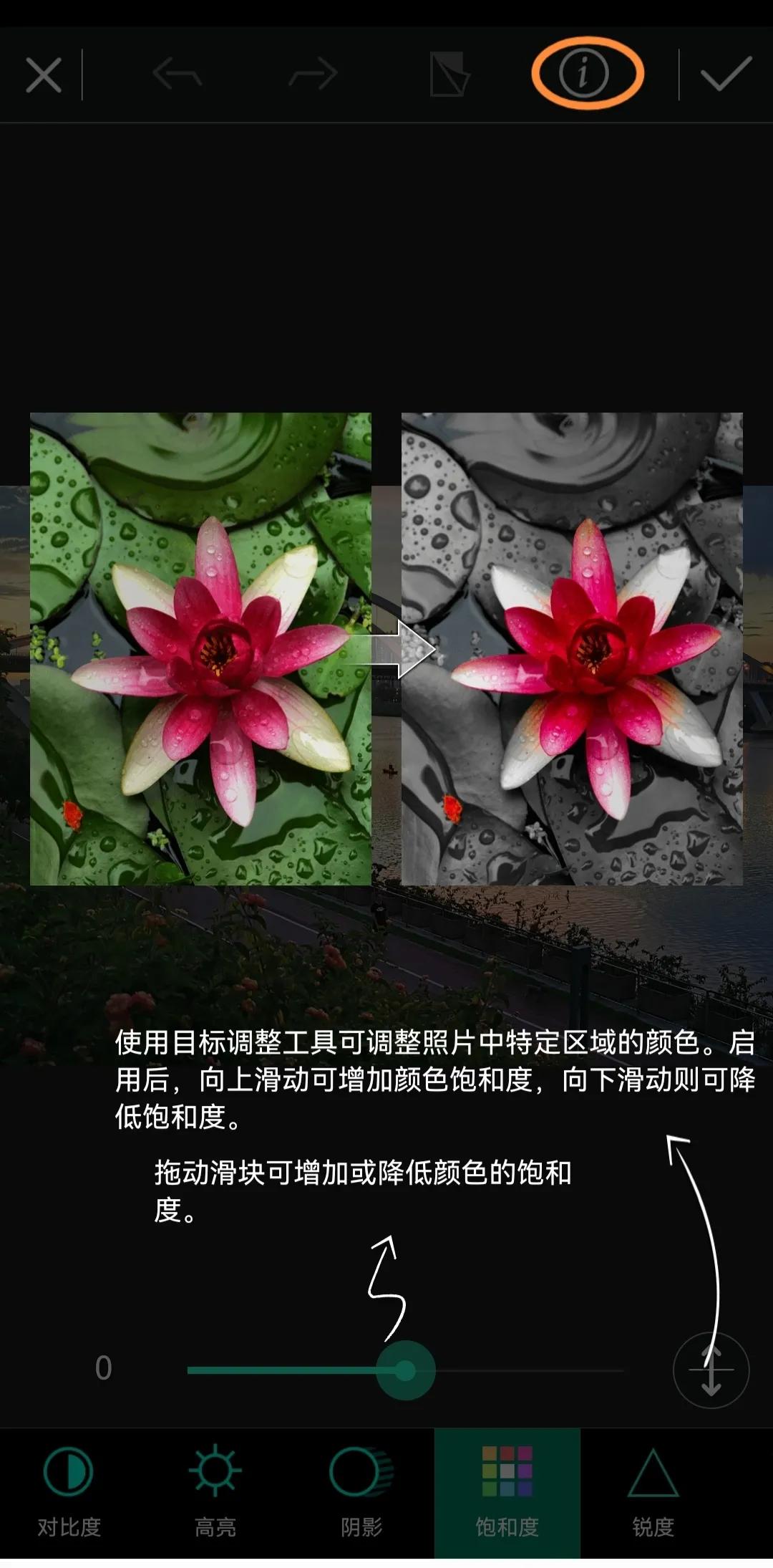 澶╃┖涔嬮暅鍞編鍥剧墖,鐩哥墖澶勭悊澶у笀