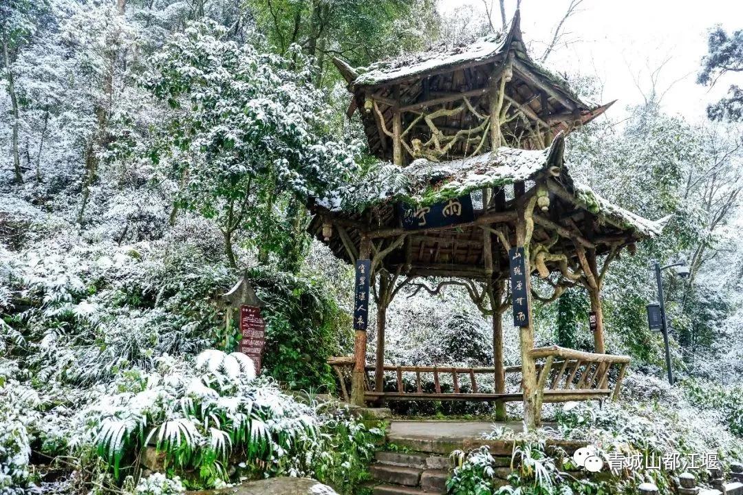 无雪不成冬,都江堰玩雪一日游