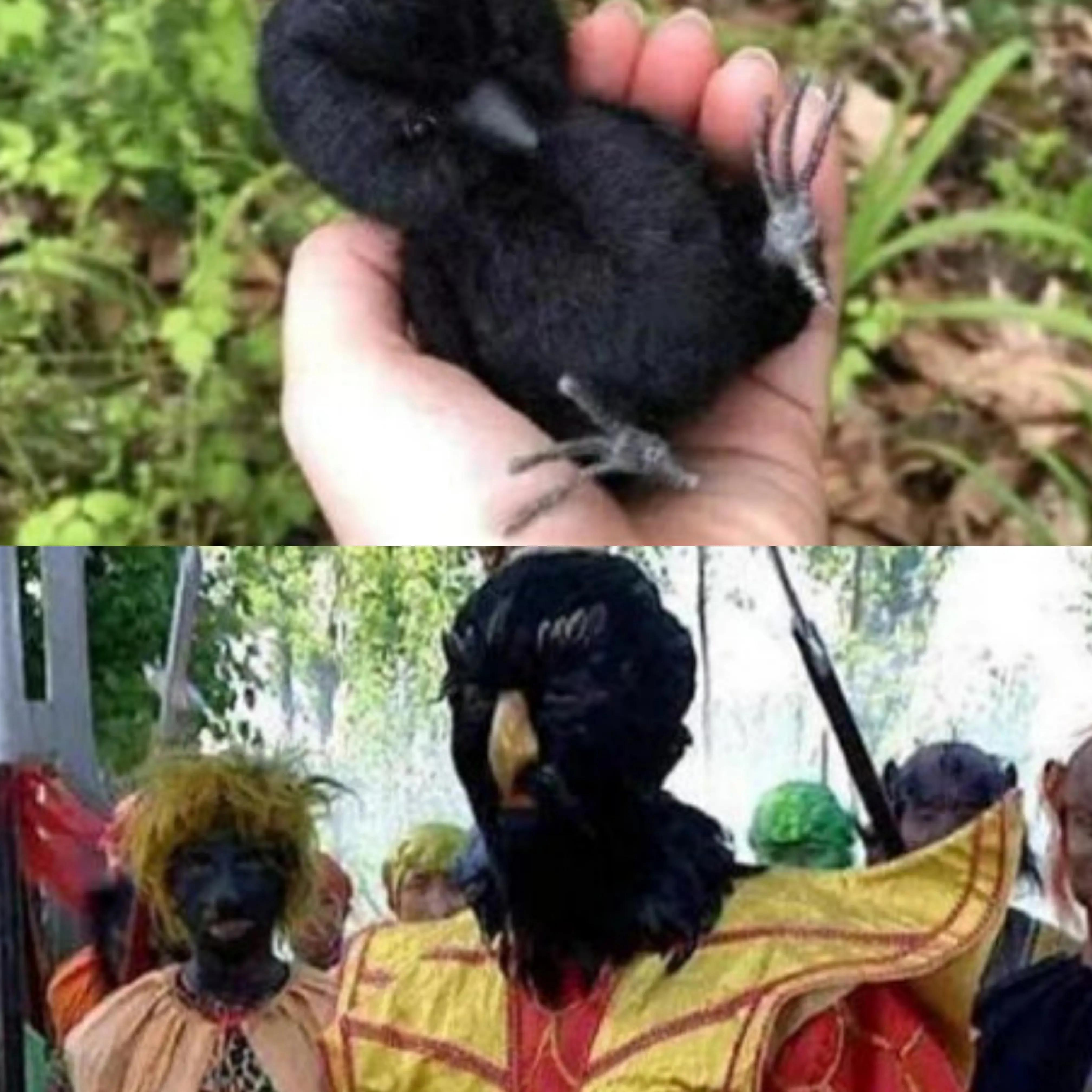 15秒成年人搞笑幽默段子,史上最搞笑的段子笑死人