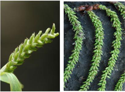 让你过敏,让人过敏的方法