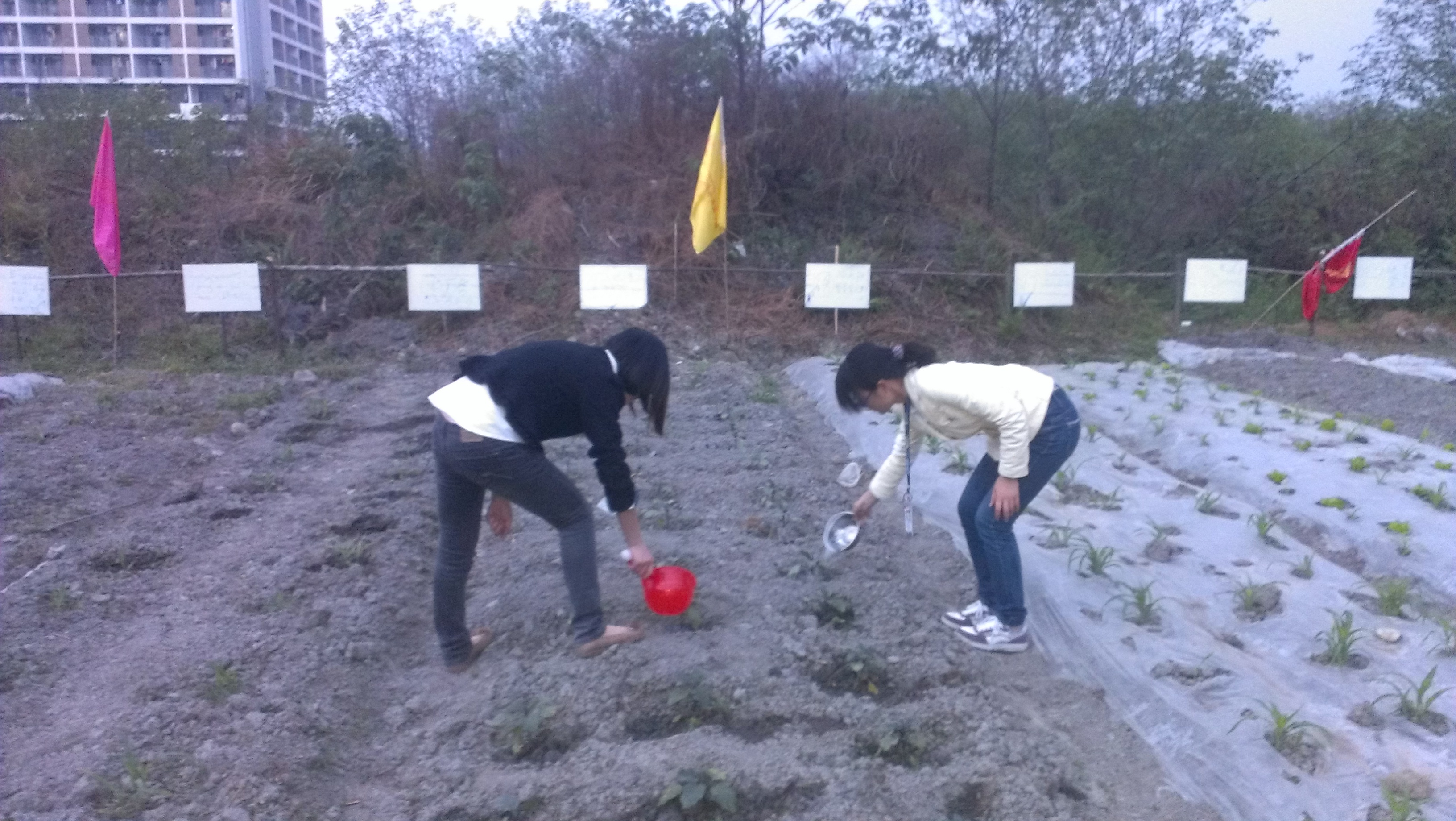 天马微电子厂真实工资,那些年你进过的公司